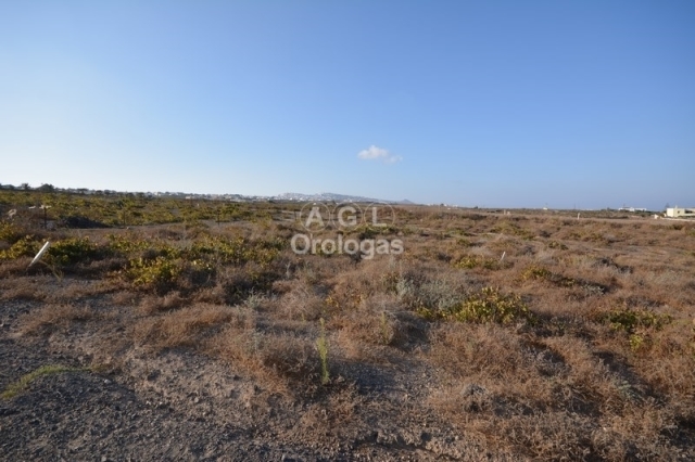 (For Rent) Land Agricultural Land || Cyclades/Santorini-Thira - 2.000 Sq.m, 1.000€ 