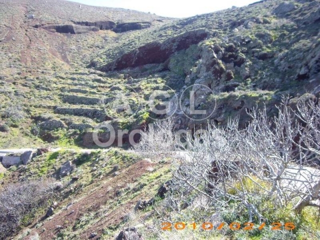(For Sale) Land Plot out of City plans || Cyclades/Santorini-Oia - 8.308 Sq.m, 140.000€ 