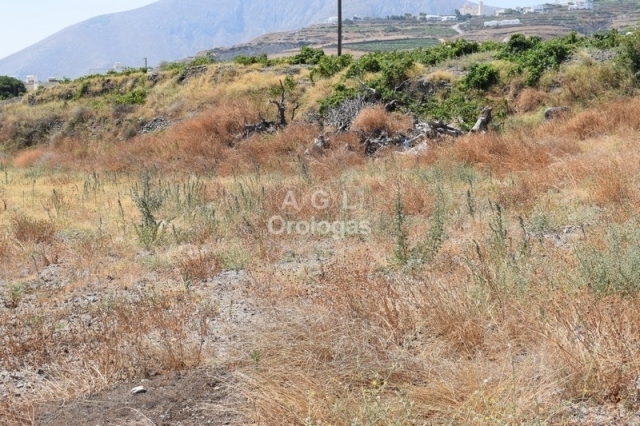 (For Sale) Land Agricultural Land || Cyclades/Santorini-Thira - 1.750 Sq.m, 70.000€ 