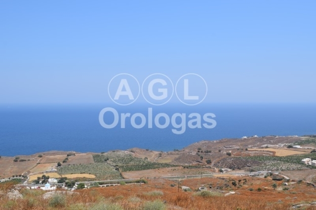 (For Sale) Land Plot out of City plans || Cyclades/Santorini-Thira - 9.070 Sq.m, 300.000€ 